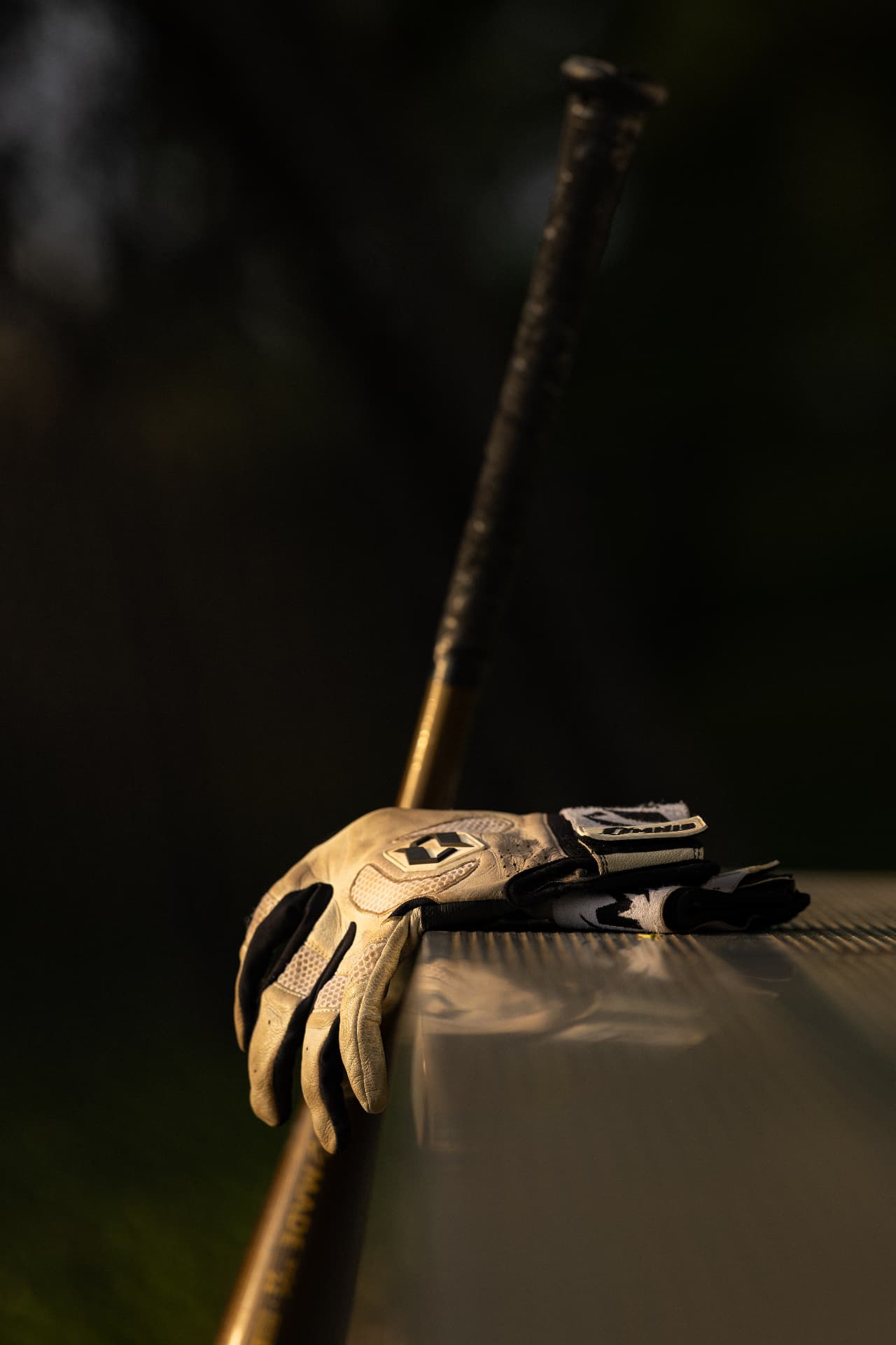 Last Light, Dugout